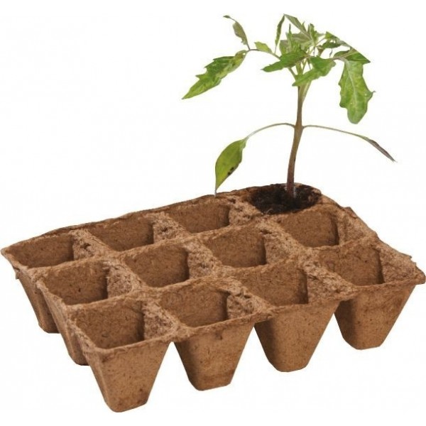 Pack de 36 pots en fibre biodégradables 5 cm