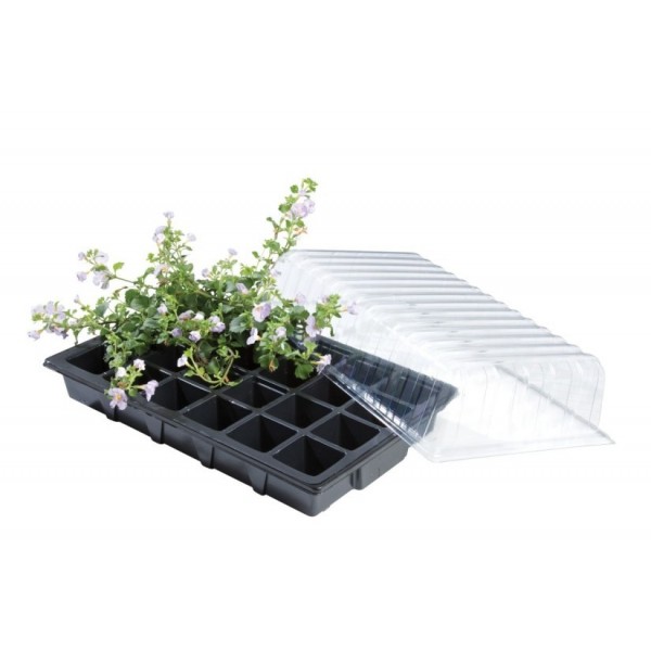 Mini serre triple pack propagateur