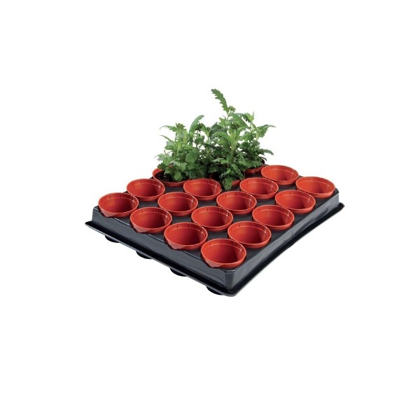 Mini plateau de semis et de bouture professionnel (pots de 20 x 6 cm)