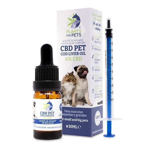 Huile CBD animaux 6% | PLANTS FOR PETS